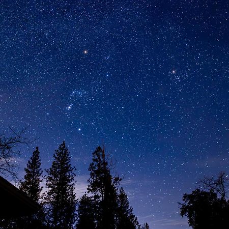 Mountain View, Near Yosemite & Bass Lake, Bbq, Fireplace,Evc Окхерст Экстерьер фото